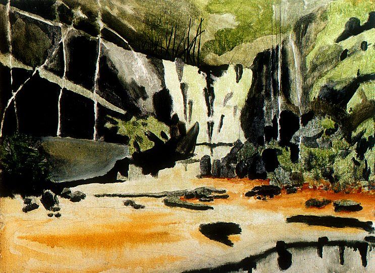 CACHOEIRA - Acrylic and cryon on canvas